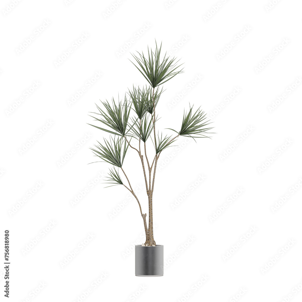 Fototapeta premium Potted plants isolated on white background