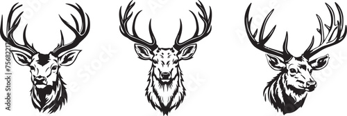 deer heads portraits with large antlers, majestic wildlife, black vector graphic