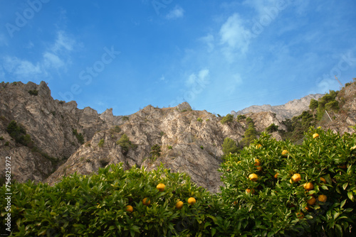 Limone Sul Garda, Gardasee. Italien