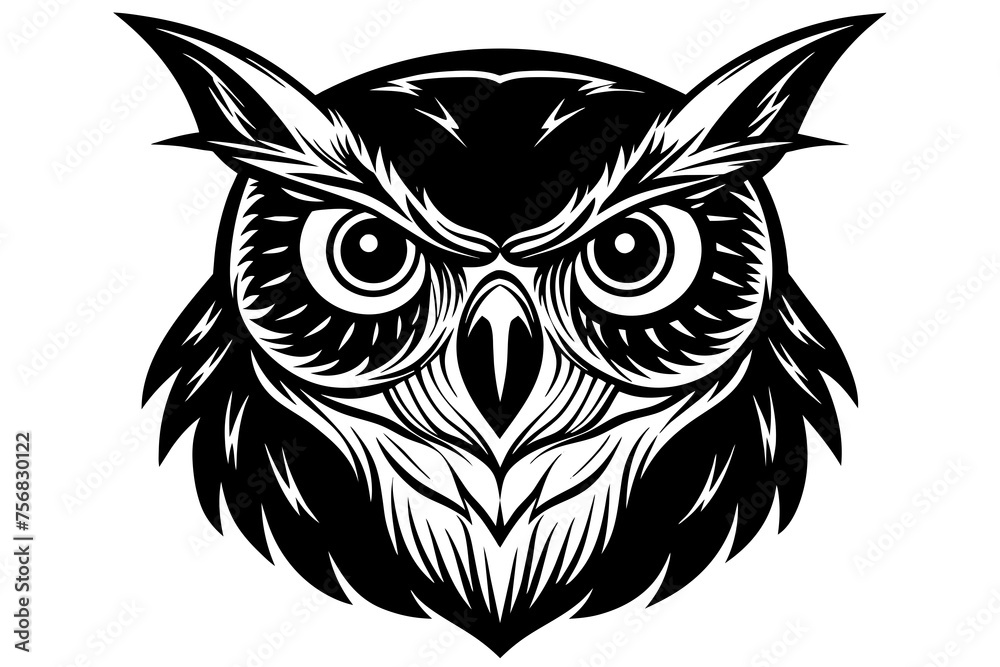 Illustration of a owl