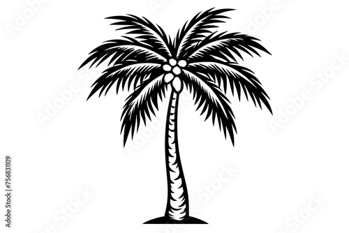 Illustration of a palm tree