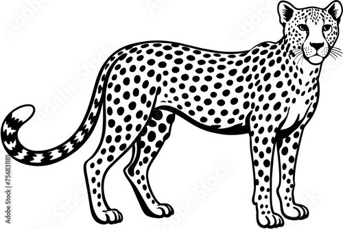 Illustration of a cheetah