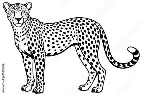 Illustration of a cheetah