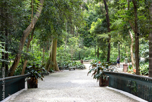 Trianon Park on Av. Paulista in São Paulo, SP, Brazil. Main avenue of the city