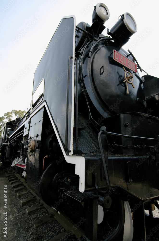 Naklejka premium 1975年まで走っていた蒸気機関車D51