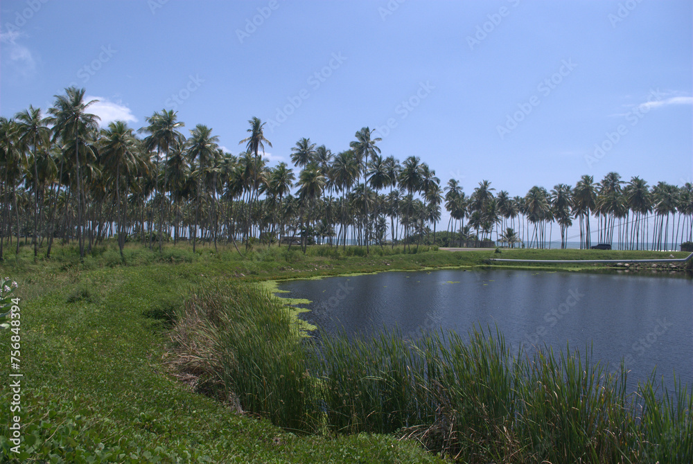 Obraz premium Paisajes marinos,transmiten mucha tranquilidad.