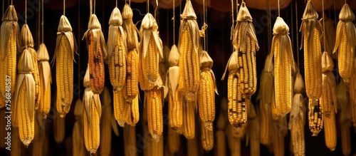 An art installation featuring a bunch of corn on the cob hanging from the ceiling, blending food and art in a unique event showcasing cuisine and design