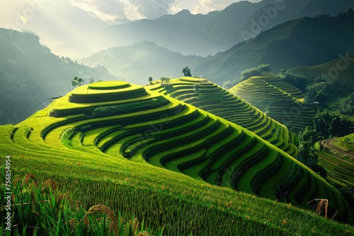 Terraced rice fields on a sunny day - Lush green terraced rice fields basking in sunlight, epitomizing rural beauty and agricultural tradition © Tida