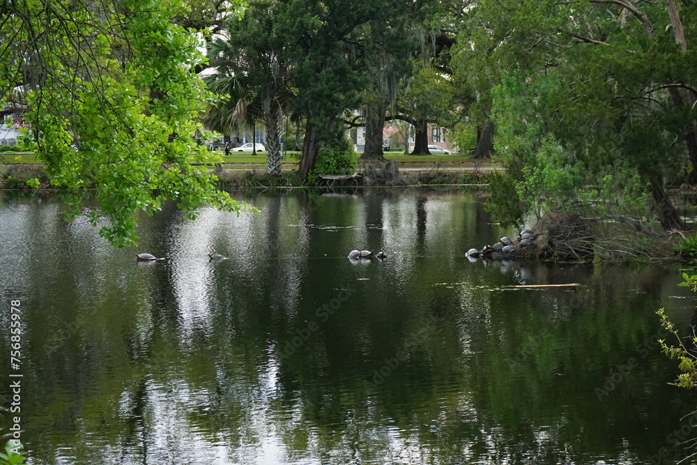 Trees surrounding a lake at City Park in New Orleans Trees surrounding a lake at City Park in New Orleans