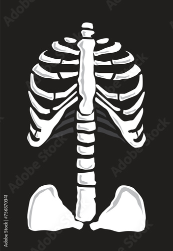 Skeletal artwork conecpt for health care, halloween, science or more concepts. Editable Clip Art