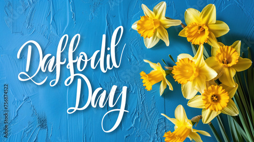 A bunch of yellow daffodils against a blue background which reads Daffodil Day, suitable for a header. Representing anti cancer council society. 