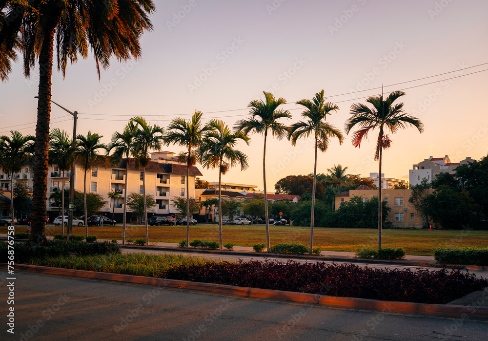 Fototapeta premium palm trees at sunset coral gables street miami 