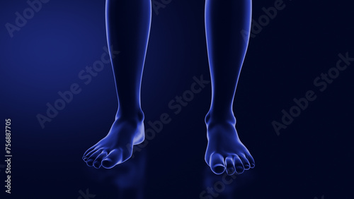 Ball of foot pain or Metatarsalgia © jitendra jadhav
