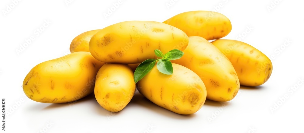 A bunch of yellow potatoes with green leaves is displayed against a white background. These natural foods can be used as an ingredient in various cuisines and recipes to create delicious dishes