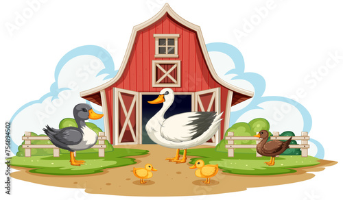 Ducks and ducklings by a red barn on a farm