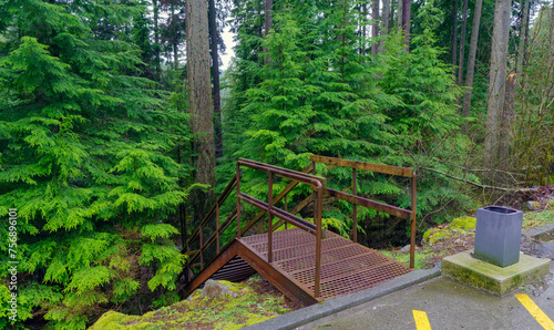 Convenient car park access to Woodhaven Swamp forest trail at Belcarra Regional Park at the cusp of Spring. photo