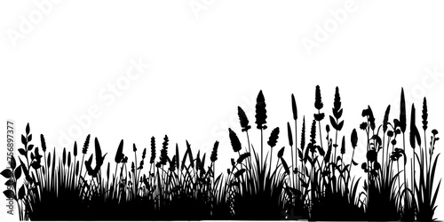 Horizontal black grass land Silhouettes. Cultivated Lawn vector illustration on white background with copy space for text