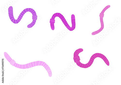 Set of Worms