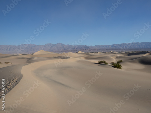 sand dunes in the desert