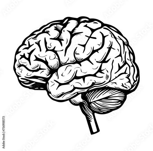 Human brain side view Isolated vector illustration. brain doodle