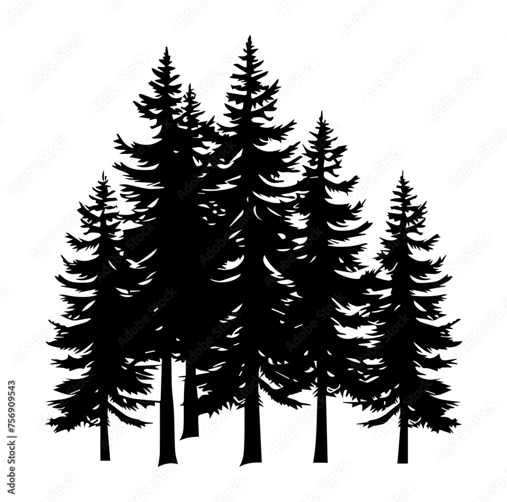 pine trees and forest silhouettes