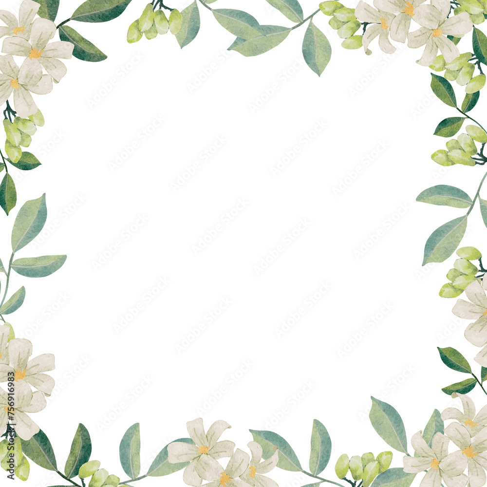 watercolor white murraya orange jasmine flower bouquet wreath frame square banner background - obrazy, fototapety, plakaty 