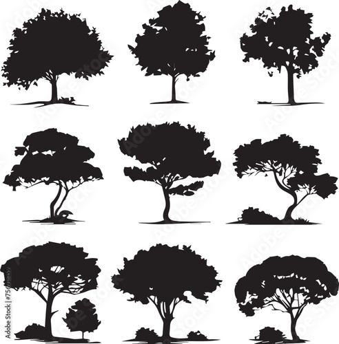 Set of Black silhouettes Trees isolated on white background