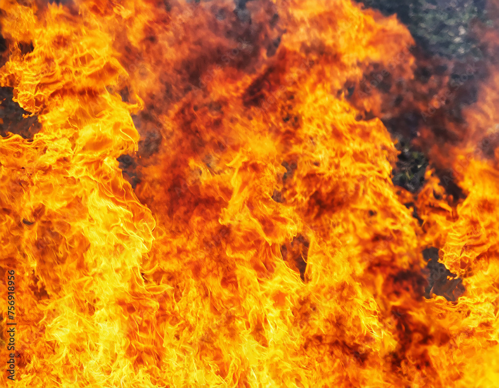 Fire flames background. Fire flames background. Fire flames background. Fire flames background. Fire flames background. Fire flames background. Fire flames background. Fire flames background.
