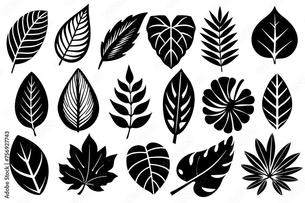 different-style-leaf-icon set