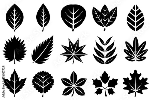different-style-leaf-icon set
