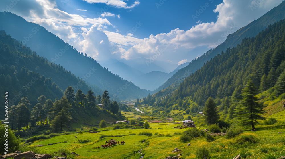Images of Mountains, Trees, Rivers and Streams in adjoining areas of Kashmir