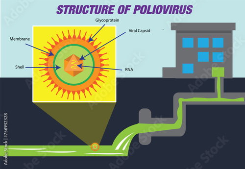 Polio Virus found in the sewage system concept. Editable Clip Art.