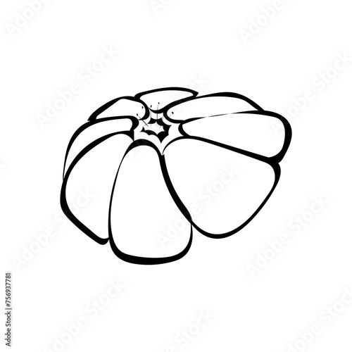 Blüte