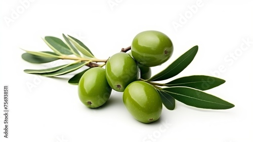 Wallpaper Mural Isolated olive branch featuring leaves and fruit against a white backdrop. Torontodigital.ca