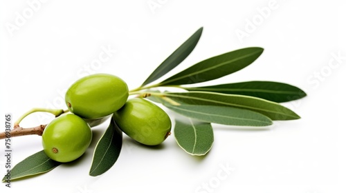 Olives on a branch with leaves  displayed in isolation on a white background.