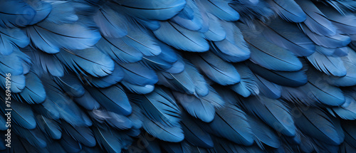 blue feather pigeon macro photo. texture or background © Mishi