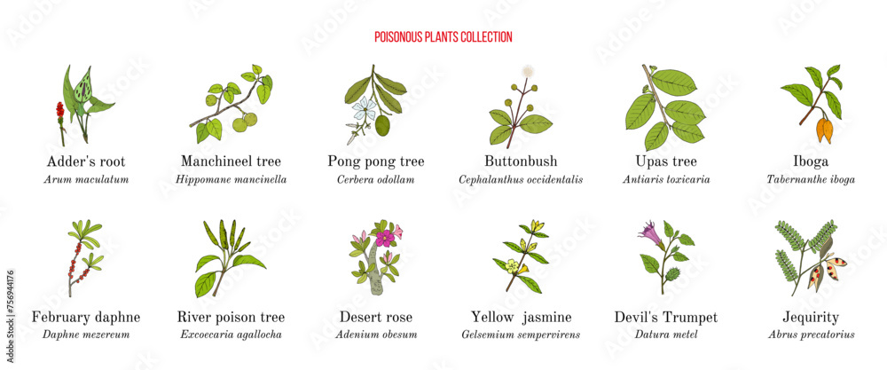 Poisonous plants collection - obrazy, fototapety, plakaty 