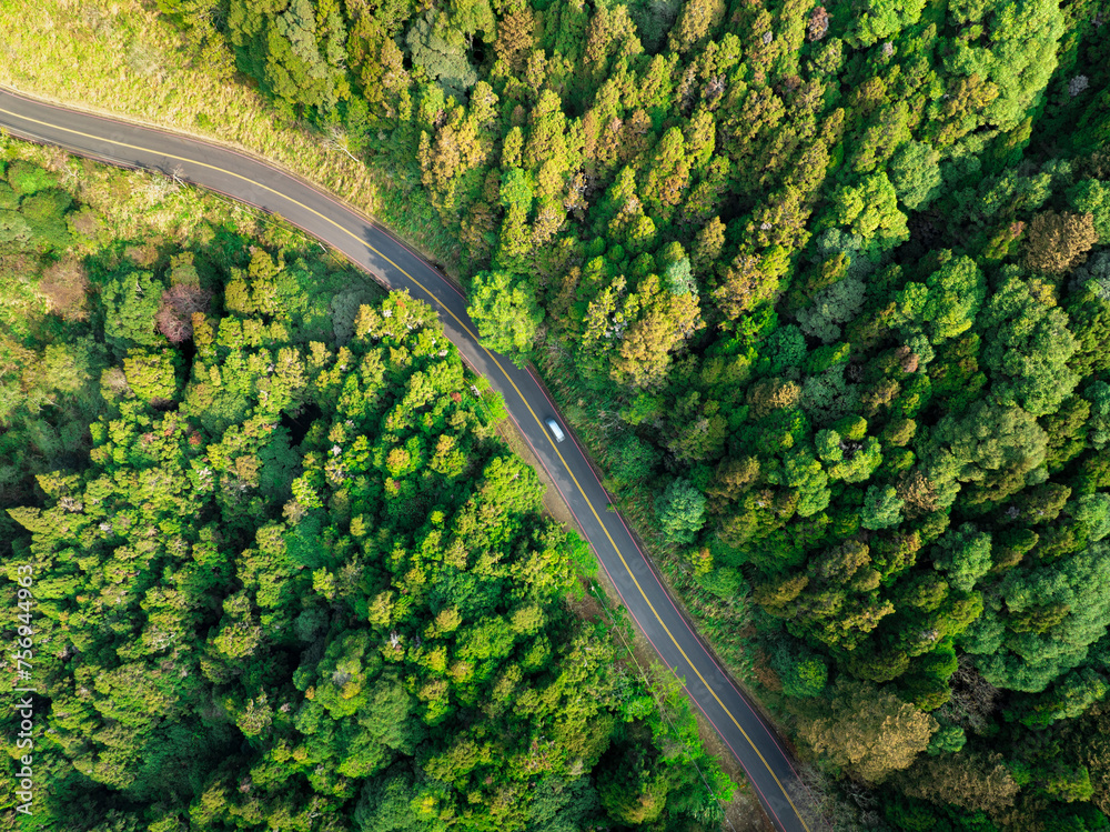Aerial view asphalt road and green forest
