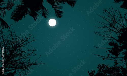 Beautiful night sky landscape in forest with moon and stars