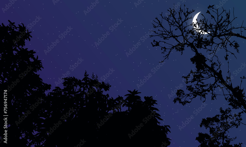 Beautiful night sky landscape in forest with moon and stars
