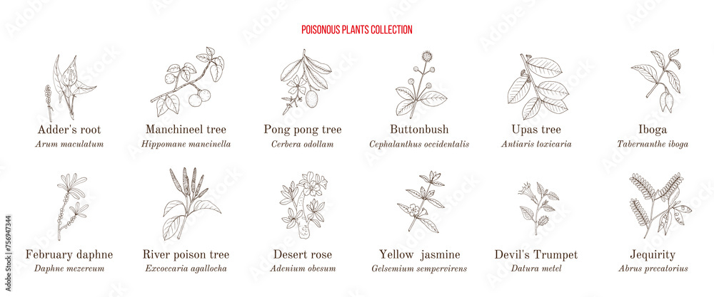 Poisonous plants collection Poisonous plants collection