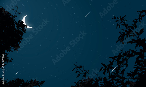 Beautiful night sky landscape in forest with moon and stars