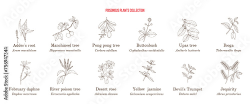 Poisonous plants collection