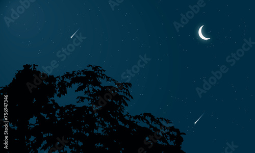 Beautiful night sky landscape in forest with moon and stars