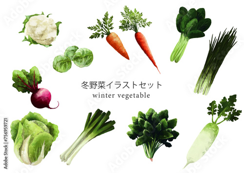 冬の季節野菜のイラストセット（Illustrator）
