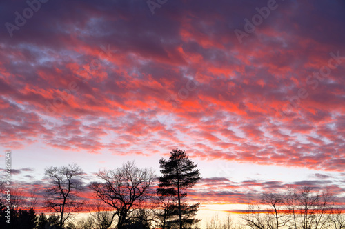 landscape of dramatic red sky and cloud during sunset