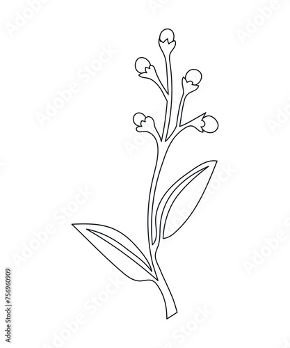 An abstract flower hand-drawn in a continuous line. One Line art Botanical with one line