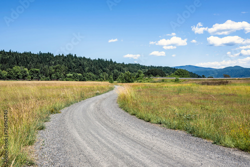 Winding field road in a meadow with tall grass rests on infinity