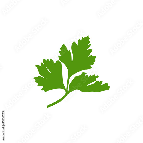 Green healthy parsley flat vector icon isolated on white background