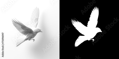 white bird illustration, 3D model of a bird in flight, open wings, flight, alpha channel included, cutout mask included